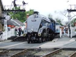 Railways. BR. 60007. Sir Nigel Gresley. 19.JPG