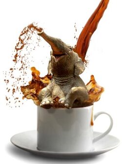 COFFEEPHANT.jpg