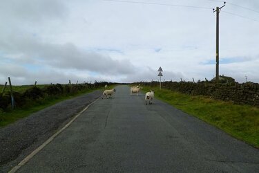 road block.JPG