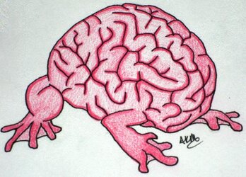 my-pet-brain-amanda-melton.jpg