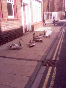 Picture 0113.jpg