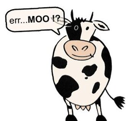 moo.jpg