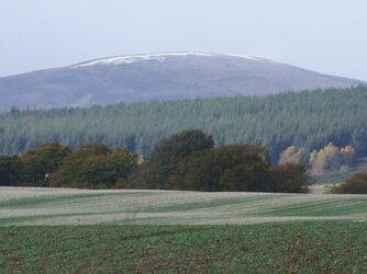 DSCF2439.JPG