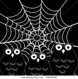 owl web.jpg