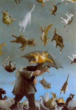 raining-cats-dogs.jpg