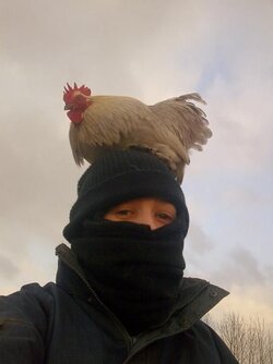 Jo cock hat.JPG