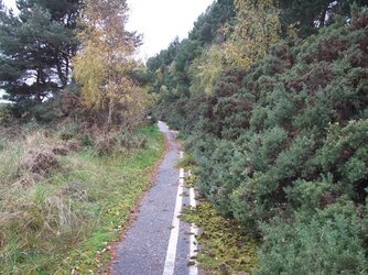 Shandwick Path before 008.JPG