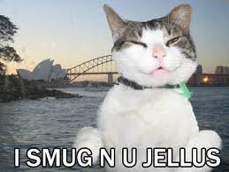 smug cat.jpeg