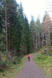 rps20140317_175357_635.jpg