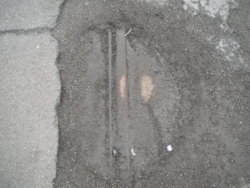 DSCF4553.JPG