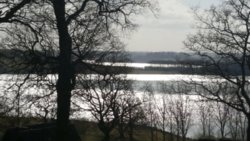 20180319_134435.jpg