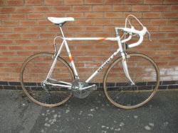 mountain peak storm 27.5 price