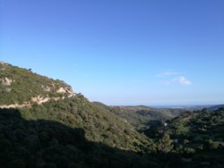 IMG_20180510_195937.jpg