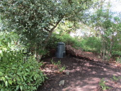garden 004.JPG