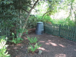 garden 013.JPG