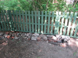 garden 017.JPG