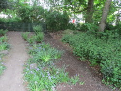 garden 023.JPG