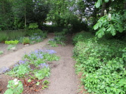 garden 024.JPG