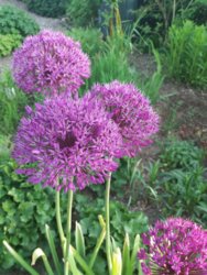 20180519_190528.jpg