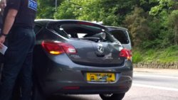 IMG_20180522_090740730-01.jpeg IMG_20180522_090740730-01.jpeg