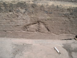 DSCF5168.JPG