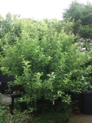 20180617_090053.jpg