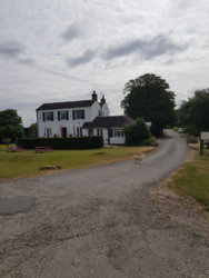20180718_095443.jpg