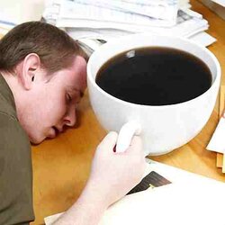 Worlds Largest Coffee Mug.jpg