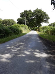 20180725_112514.jpg