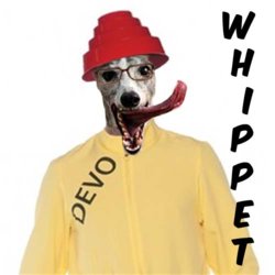 DevoWhippet.jpg