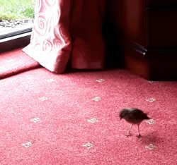 20180810_144100.jpg