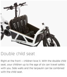 double child seat.JPG