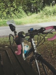 Bicycle world longham hot sale