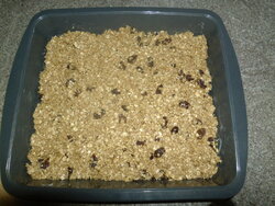 Flapjack 002.JPG
