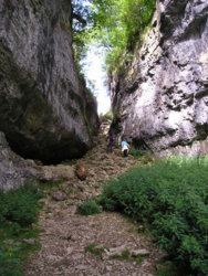 North Yorkshire Scenes. Clapham. Trow Gill. 2.JPG