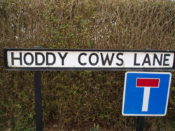East Yorkshire Scenes. Bempton. Hoddy Cows lane.JPG