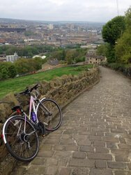 2014. Bluebell Trail. 5.jpg