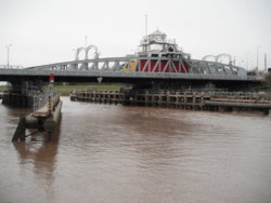 DSCF7991.JPG