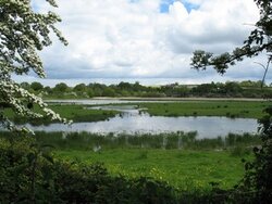 IMG_2835.jpg