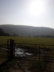 20190224_112738.jpg