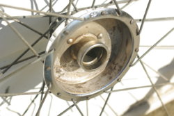 IMGP9840.JPG