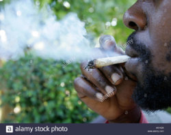 man-smoking-marijuana-jamaica-A01K26.jpg