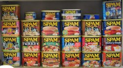 Spam.jpg