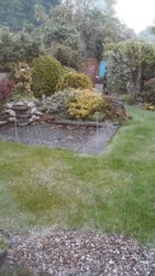 IMG-20190510-WA0001.jpg