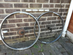 wheel 1.jpg wheel 1.jpg