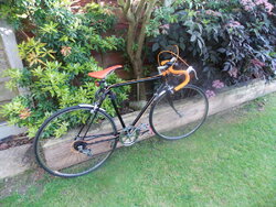 DSCN2750.JPG