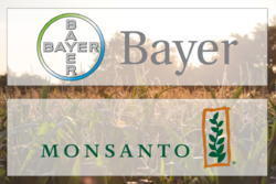 BayerMonsanto.png