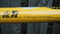 Cycling. 2012. Yellow Bike. 3.JPG