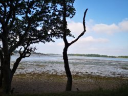 IMG_20190802_094024.jpg