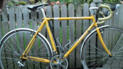 Cycling. 2012. Yellow Bike. 1.JPG